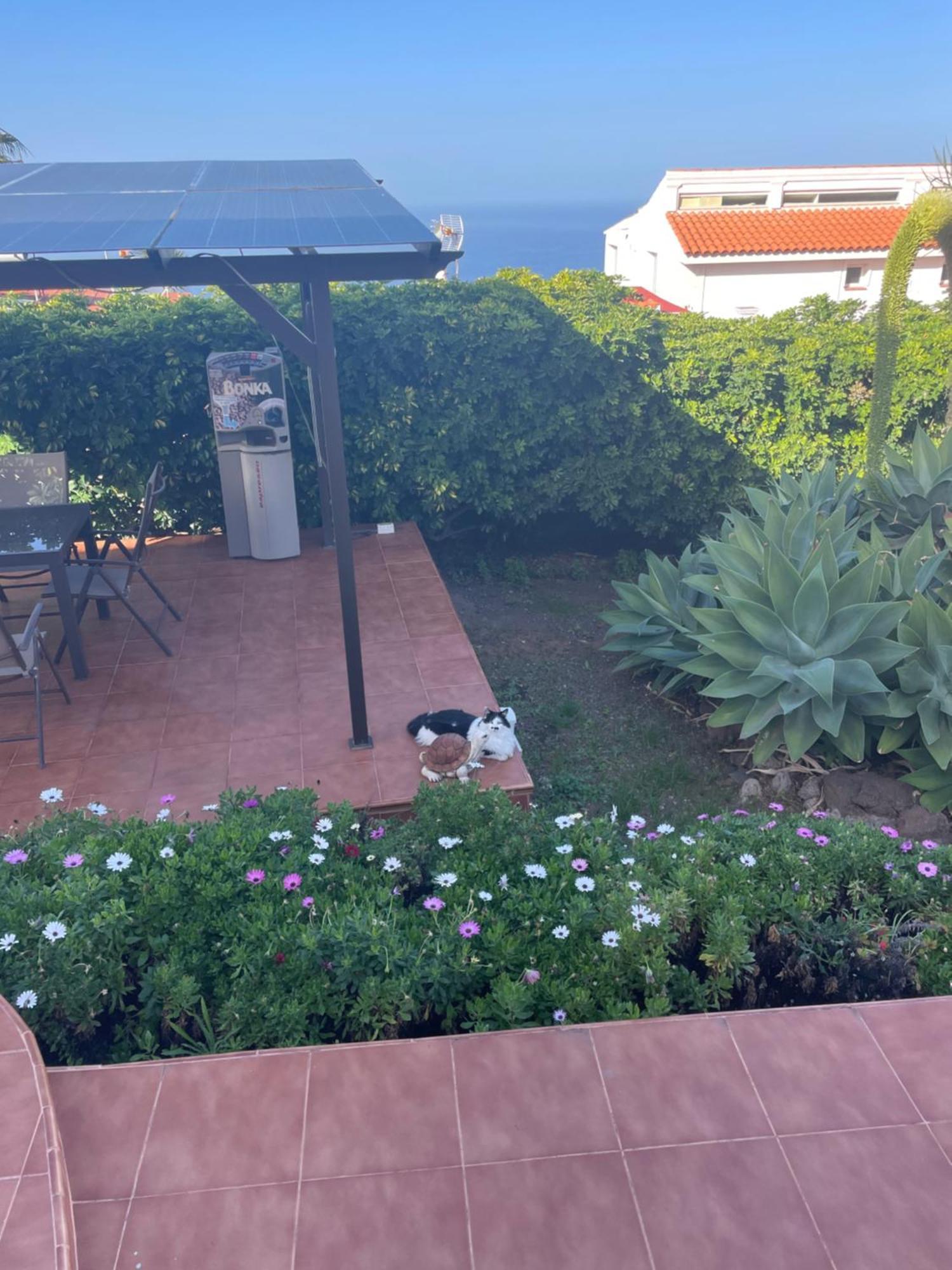 Alojamiento De Invitados El El Sauzal Exterior foto